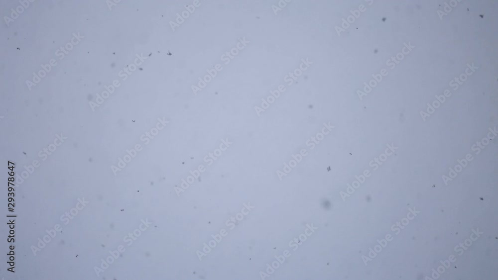 Falling snow background. Winter weather. Falling snow background. Winter weather.