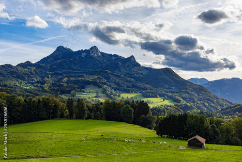 Landschaft mit Wiesen vor Heuberggipfel am Samerberg  Oberbayern