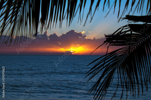 Tropical sunrise over the Pacific Ocean seen through the fronds of coconut palms.