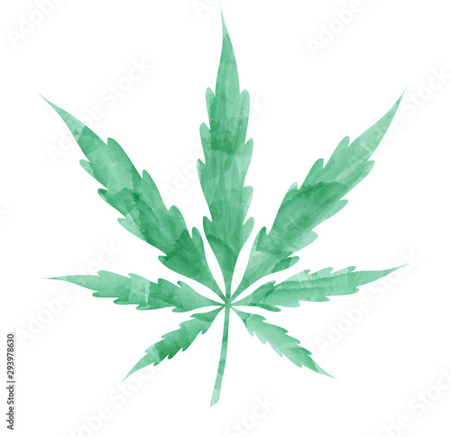 watercolor Marijuana leaf isolated on white background