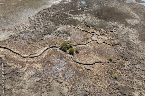 aerial view of the mudflat coastline at low tide with creek winding through the mud and mangroves photo