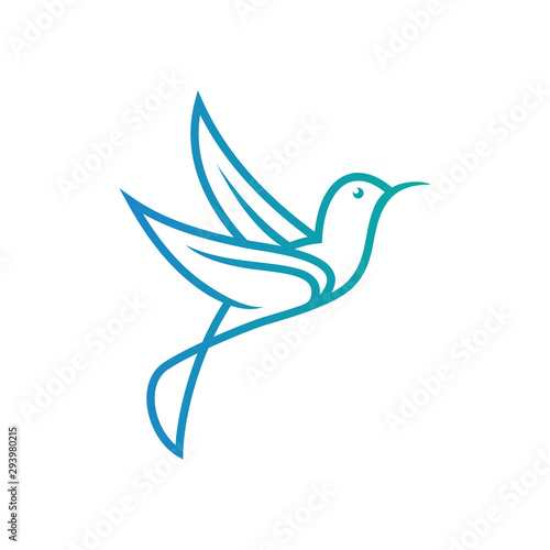 Bird logo design, Animal flying icon vector