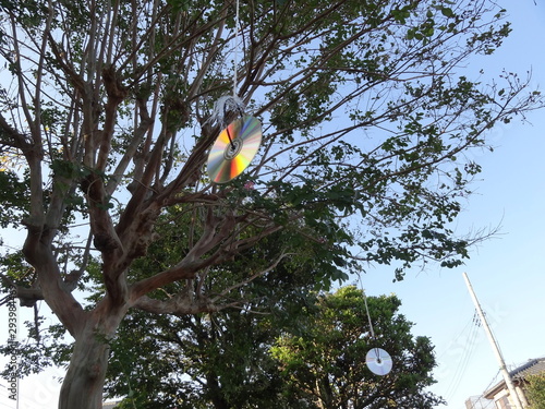 ゴミ置き場のカラスよけ