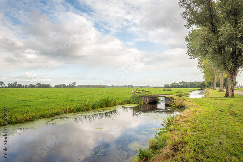 Typical Dutch polder landscape photo