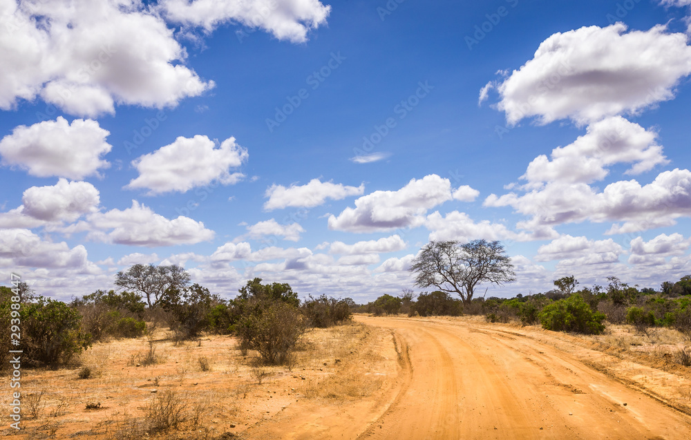 Safari road in Kenya