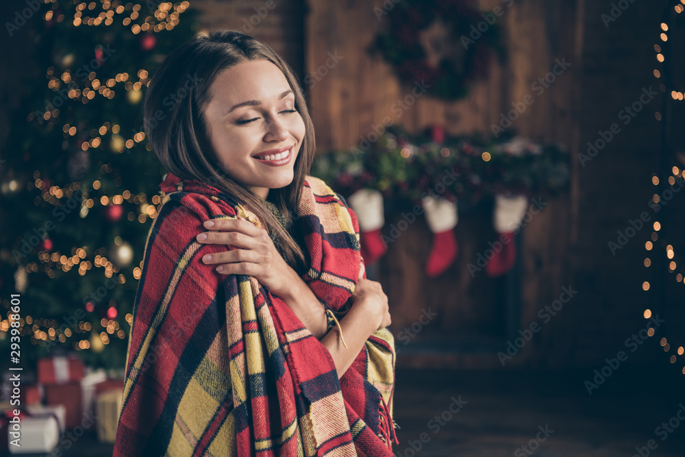 Profile side photo of positive cheerful brunette hair girl covered by checkered blanket hug herself feel warmth soft comfort in house with christmas decor lights indoors - obrazy, fototapety, plakaty 