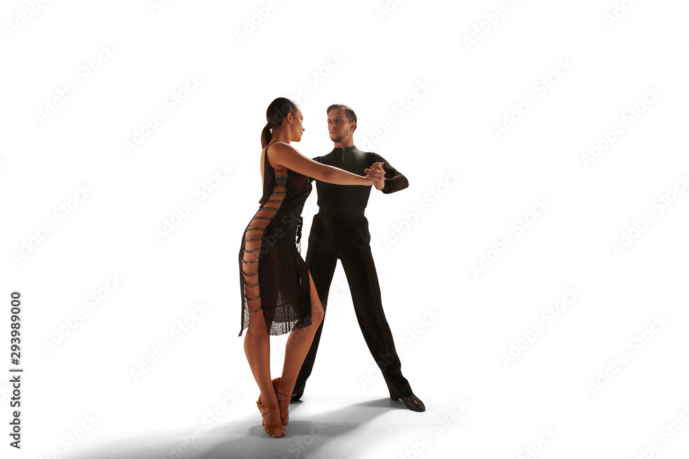Ballroom dancing isolated on white. Ballroom dancing isolated on white.
