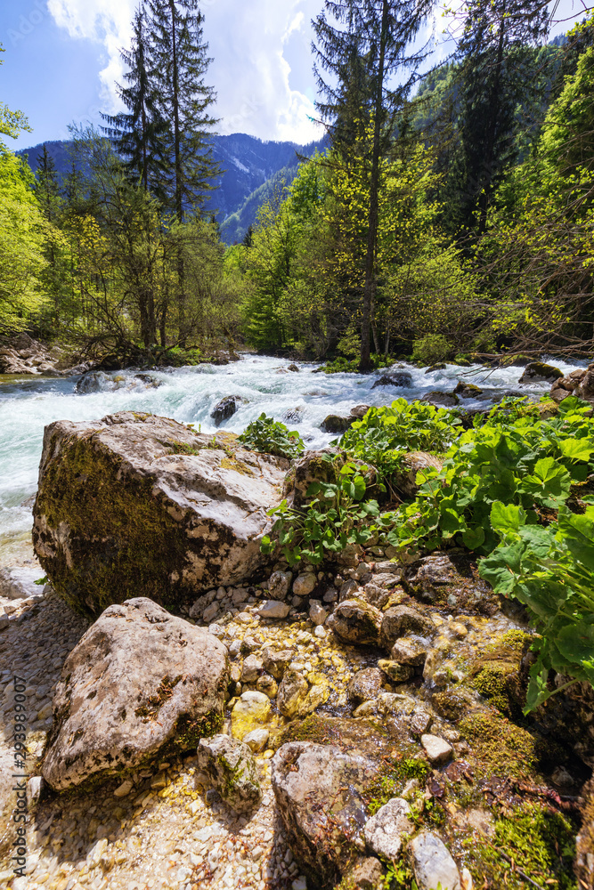 Mountain wild river landscape. River valley in mountains. Wild mountain river panorama. Small waterfall in forest stream. Long exposure. Fast water stream in mountain river with coniferous forest Mountain wild river landscape. River valley in mountains. Wild mountain river panorama. Small waterfall in forest stream. Long exposure. Fast water stream in mountain river with coniferous forest