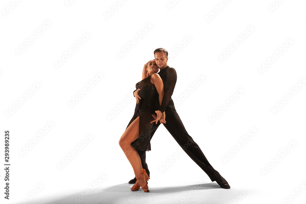 Ballroom dancing isolated on white. Ballroom dancing isolated on white.