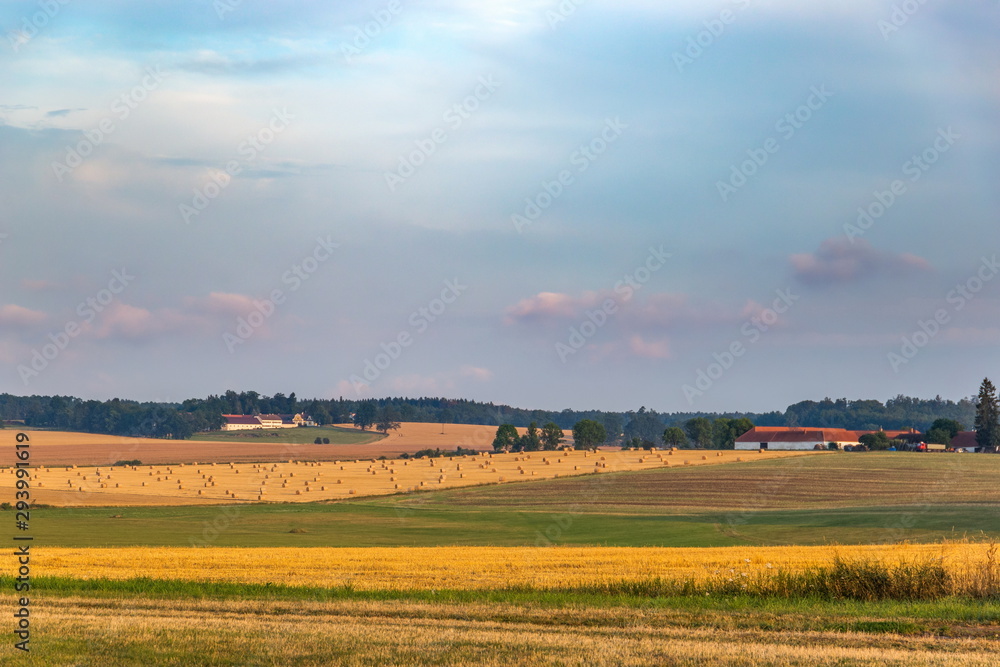 Summer Landscape with fields, forest and clouds. Czech farmland.