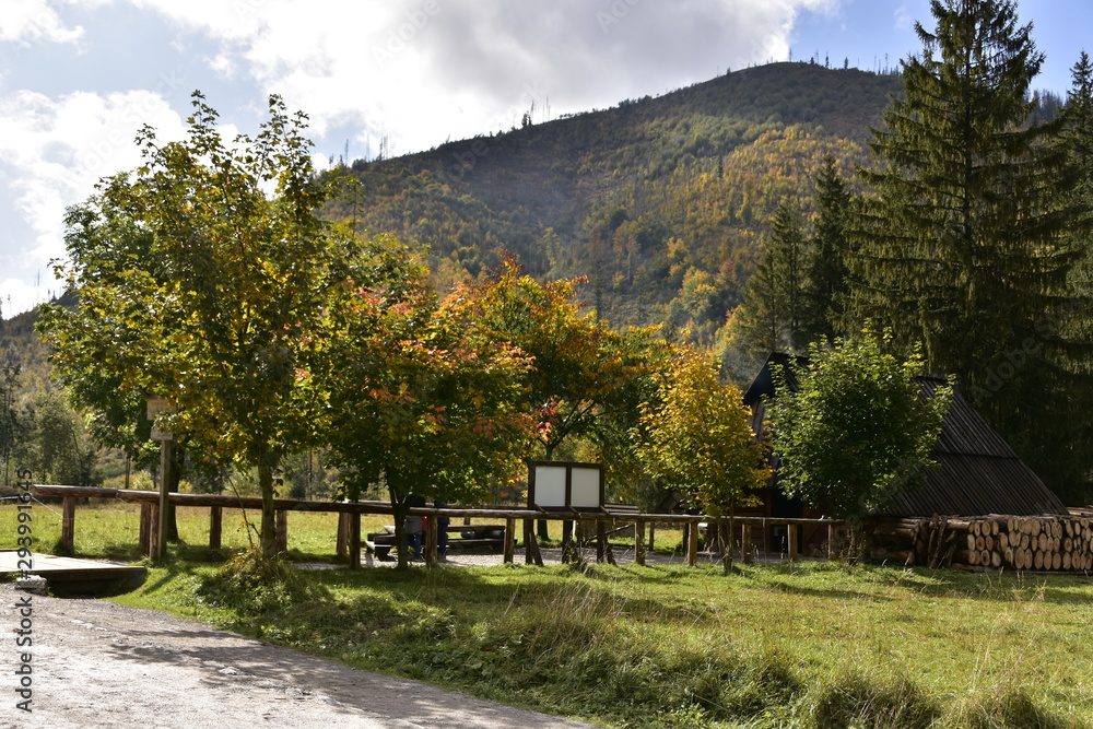 Dolina Koscieliska Tatry jesiennie TPN