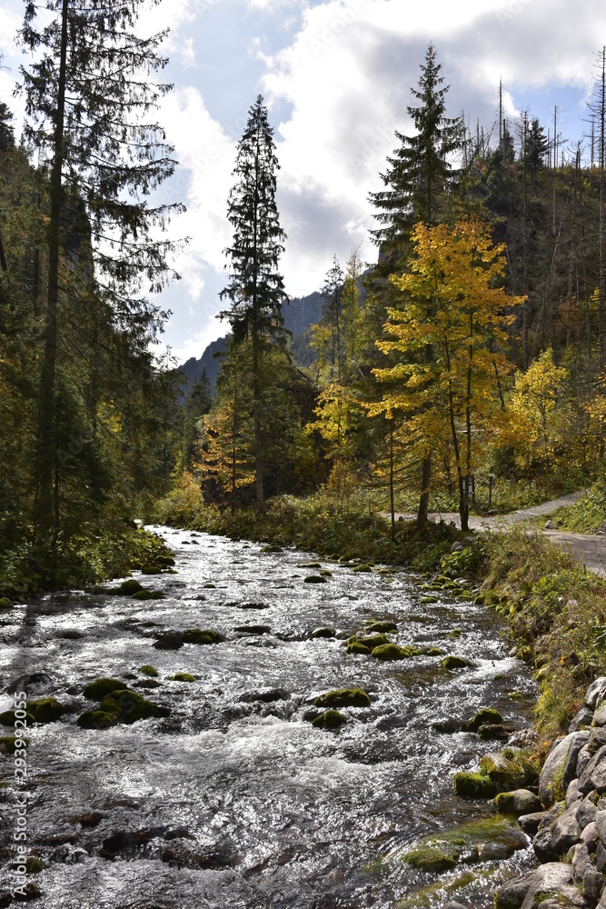 Dolina Koscieliska Tatry jesiennie TPN Dolina Koscieliska Tatry jesiennie TPN