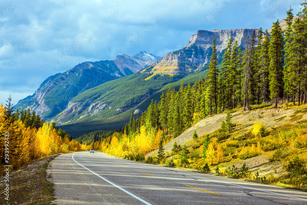 Naklejka premium Excellent road crosses the Canadian Rockies