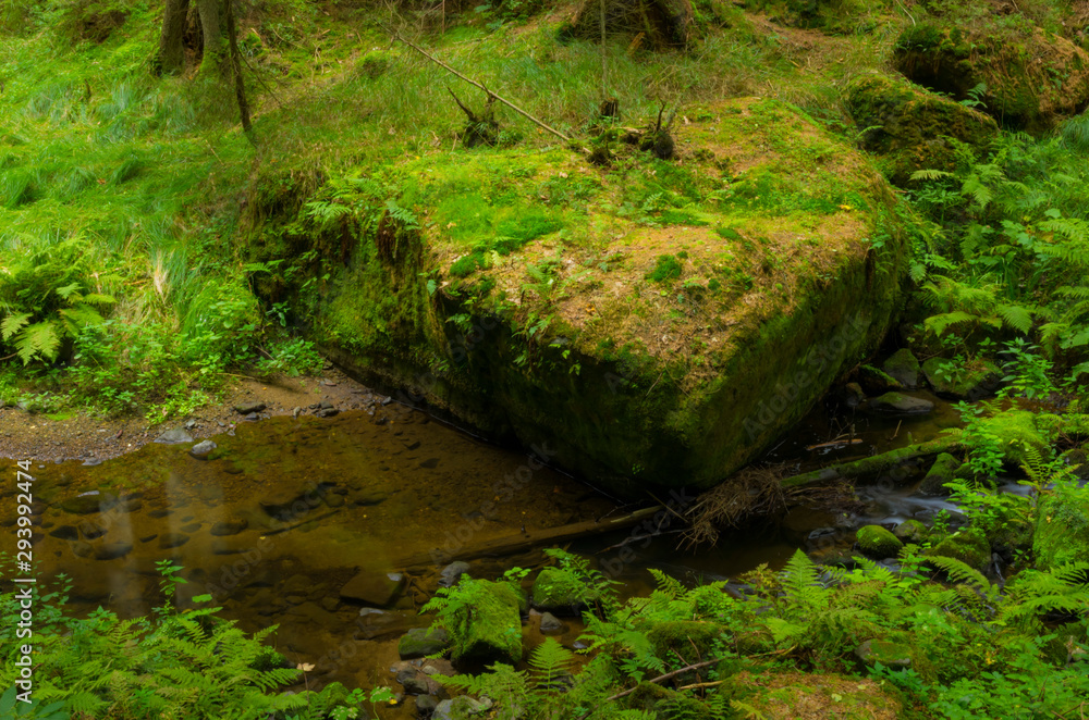 Valley Kyjov (Kyjovské údolí) - Bohemian Switzerland National Park
