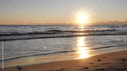 Beautiful sunrise shot with the sun coming over the horizon over Lake Michigan and reflecting on the waves and wet sand along a beach as a seagull walks along the shoreline out of frame.