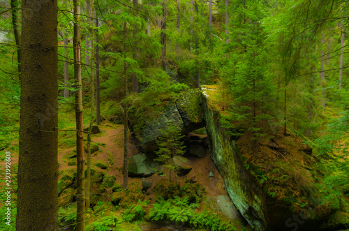 Valley Kyjov (Kyjovské údolí) - Bohemian Switzerland National Park
