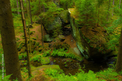 Valley Kyjov (Kyjovské údolí) - Bohemian Switzerland National Park