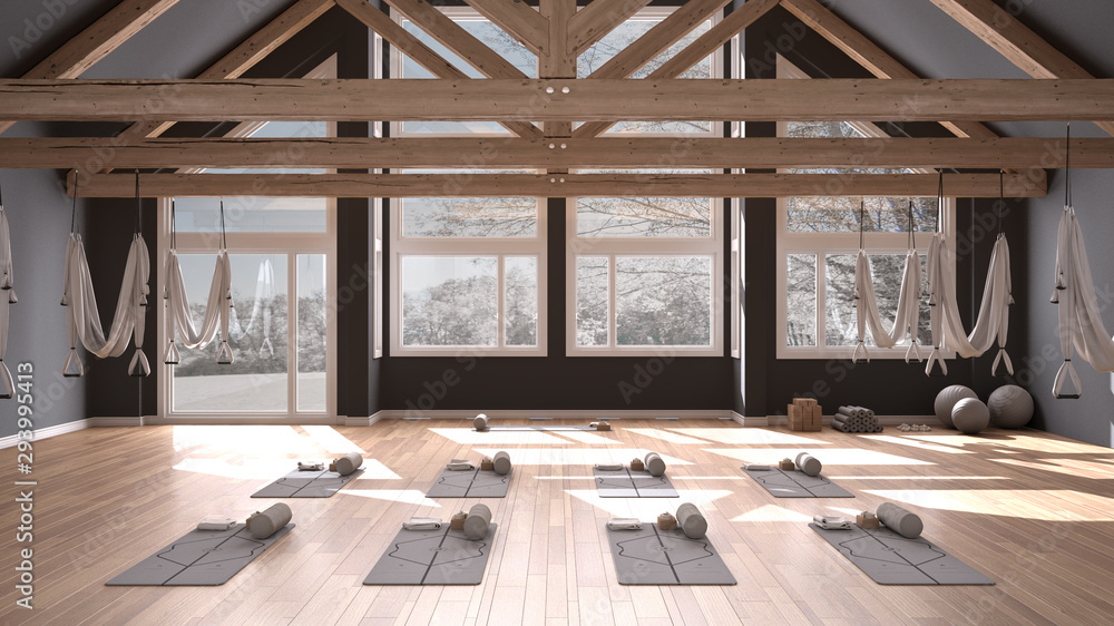 Empty yoga studio interior design, space with hammock, mats