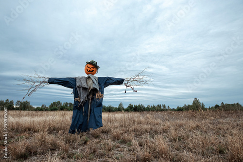 A scary scarecrow with a halloween pumpkin head in a field in cloudy weather. Halloween background, copy space.