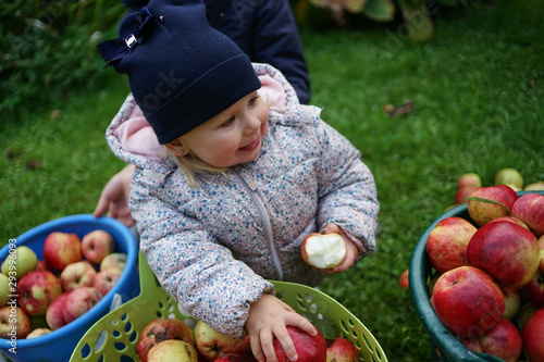 Tiny baby girl in countryhouse outfit sits  on grass and holds bag full of red apples. The weather is cold wet and rainy