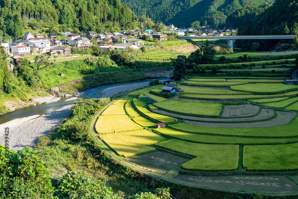 和歌山　あらぎ島