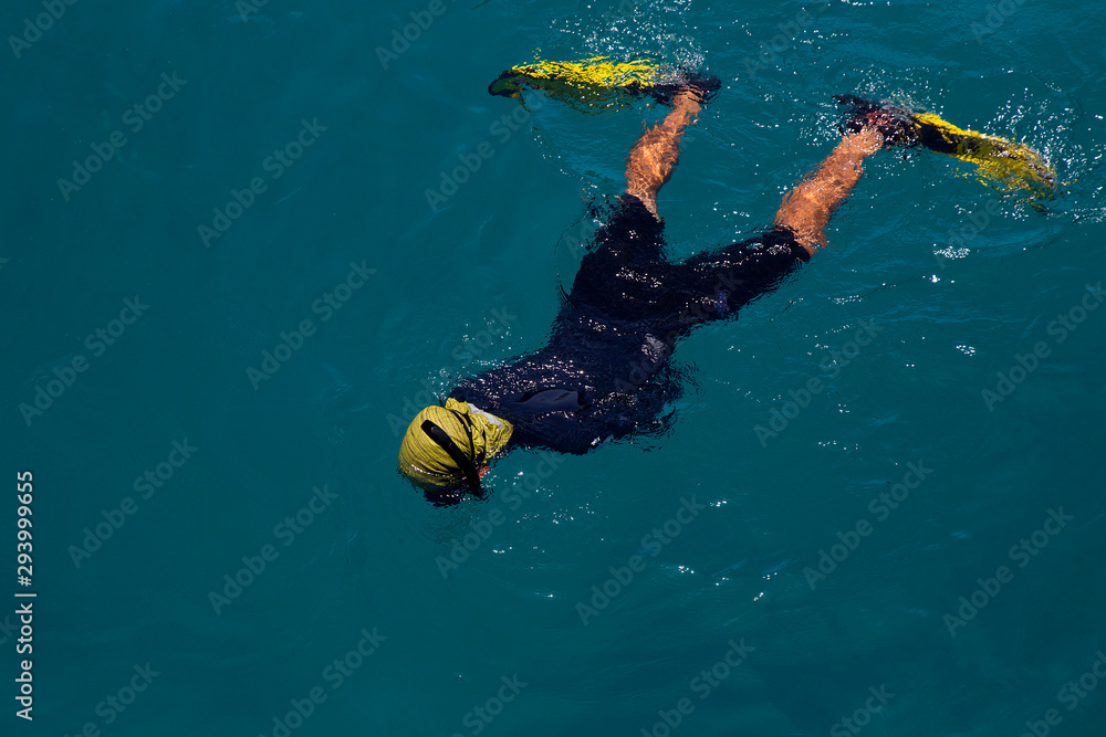 Snorkeling in clean waters 
