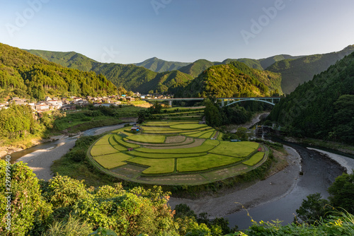 和歌山　あらぎ島