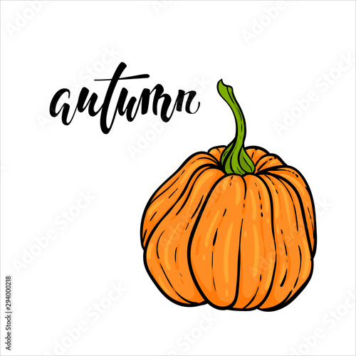 pumpkin and autumn text. Hand drawn calligraphy and brush pen lettering. design for greeting card and invitation of seasonal fall holidays, halloween, thsanksgiving, harvest