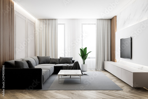 Modern living room with TV and sofa