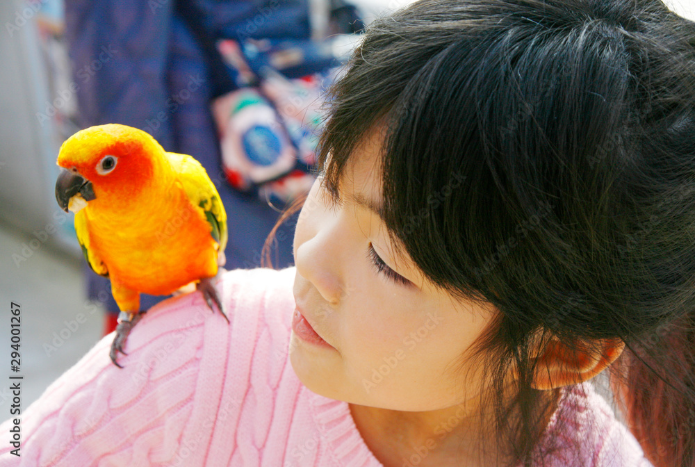 女の子の肩に乗るインコ Stock Photo Adobe Stock 女の子の肩に乗るインコ Stock Photo Adobe Stock