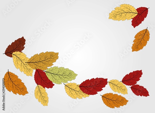 Autumn leaves. Set leaf. Vector tree collection. Vector banner. Modern poster with colorful autumn leaves on light background for web backdrop design