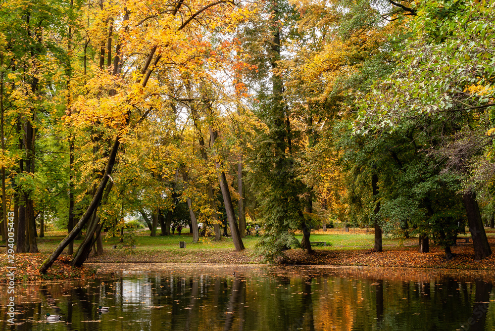 Jesień w Parku Lubomirskich, Dojlidy, Białystok, Podlasie, Polska