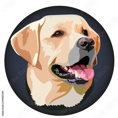 Muzzle Labrador Retriever Vector Illustration