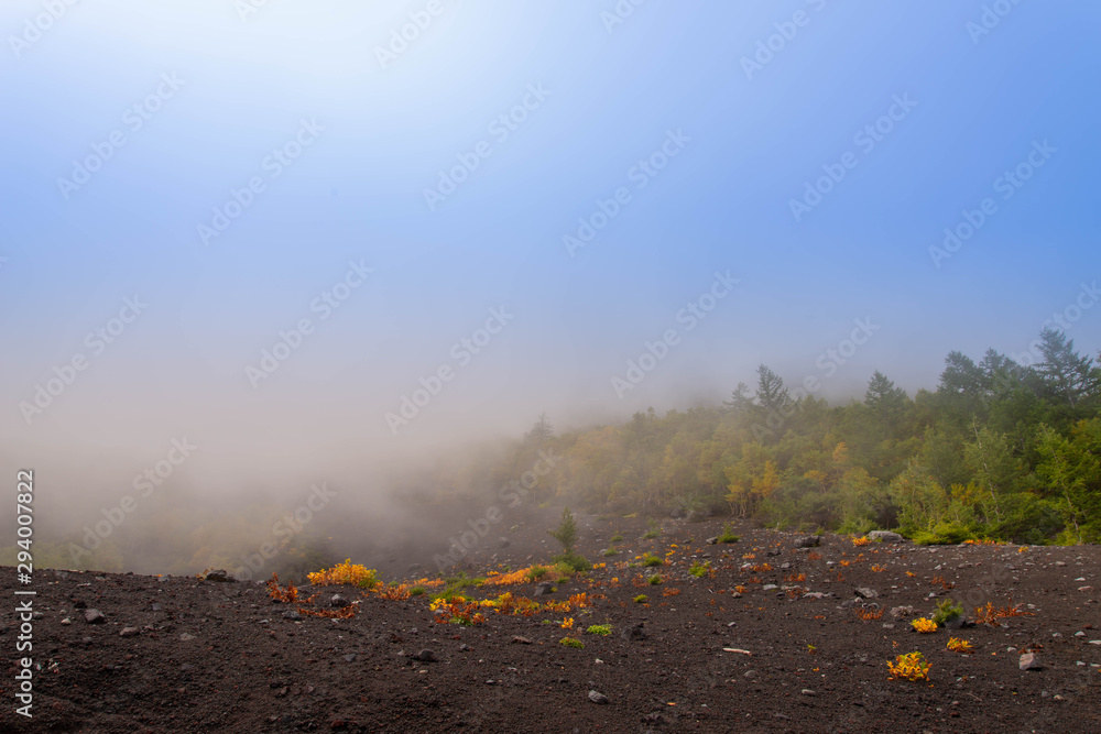 Fototapeta premium Mount Fuji, nature and fog