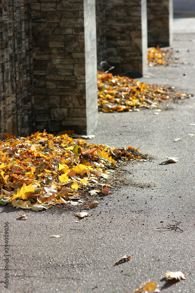 Obraz premium view of fallen autumn leaves in piles against the wall