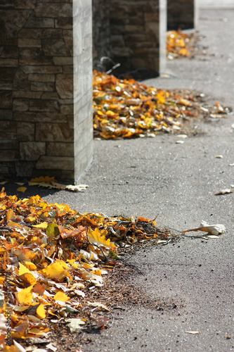 view of fallen autumn leaves in piles against the wall