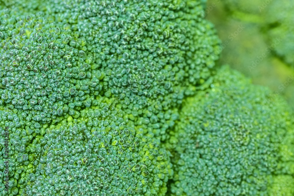 fresh broccoli macro. texture of green broccoli. broccoli background (filling the picture).