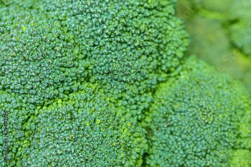 fresh broccoli macro. texture of green broccoli. broccoli background (filling the picture). © Nataliya