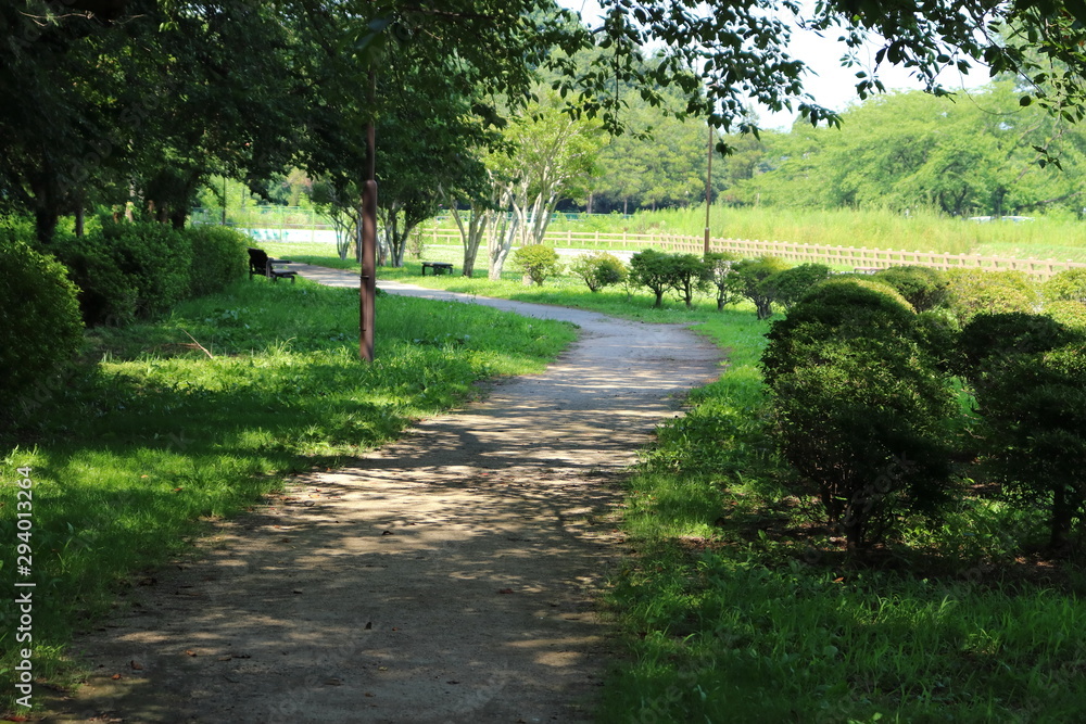 Fototapeta premium 公園