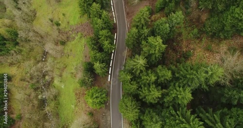 Aerial motion view of road in the forest