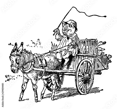 Pig Driving Car Pull By Donkey, vintage illustration