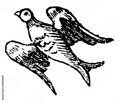 Bird Volant is used in Heraldry to express the same action, vintage engraving.
