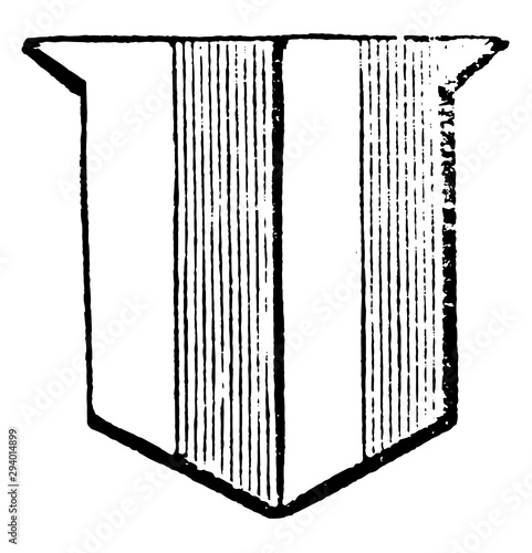 Paly have a field divided by perpendicular lines, vintage engraving.