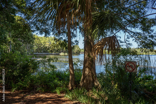 Wallpaper Mural nature Torontodigital.ca