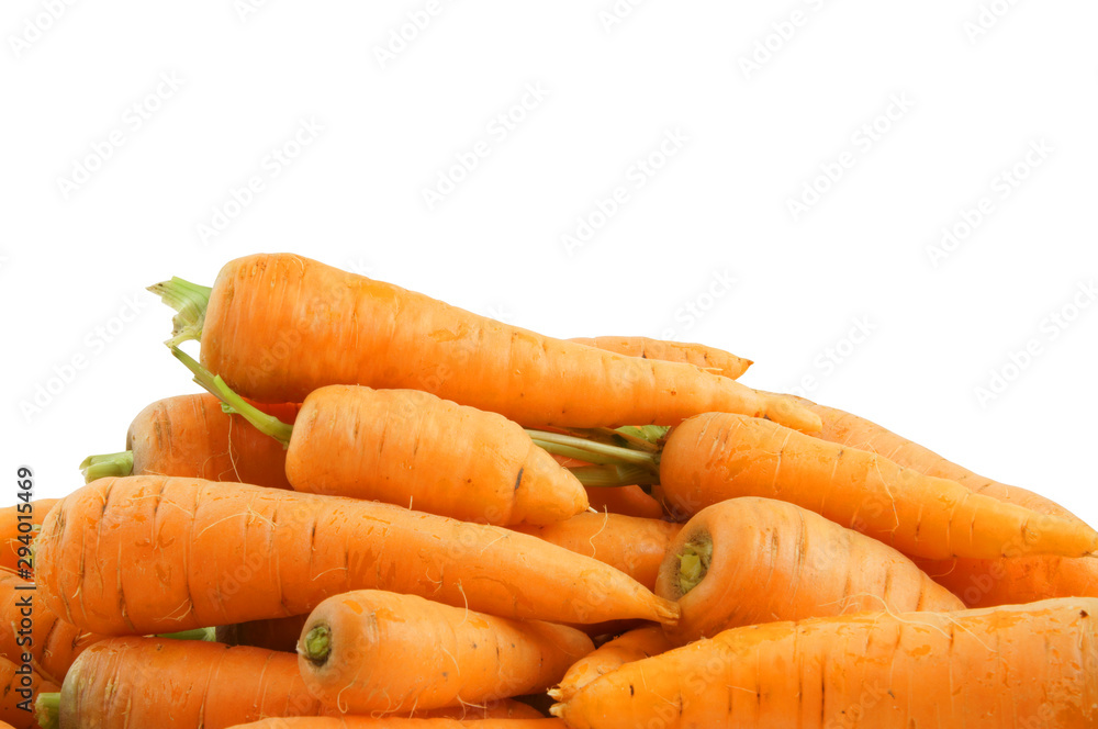Carrot isolated on white with room for text Carrot isolated on white with room for text