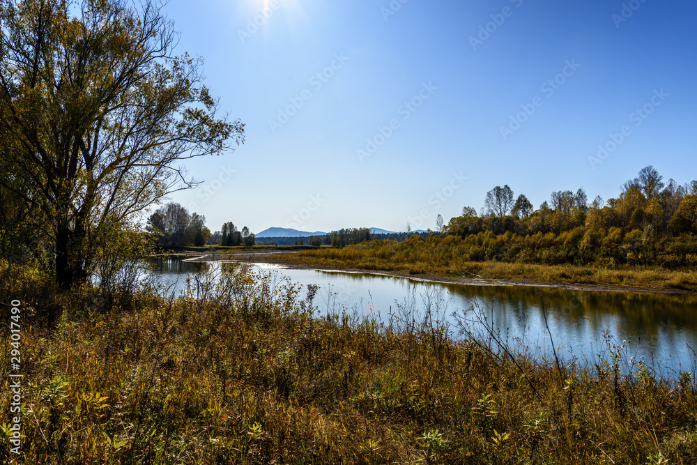 river view with Sunny day with trees on the shore river view with Sunny day with trees on the shore