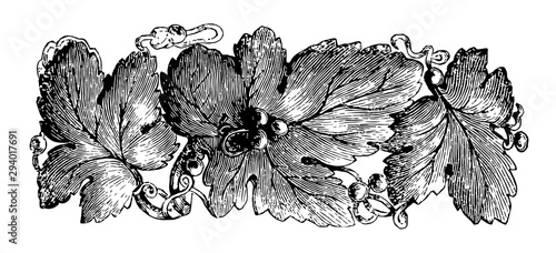 Brooch, pinned to a garment, vintage engraving.