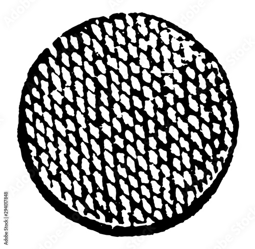 Roundlet Orange are nine roundlets or balls used in Armory, vintage engraving.