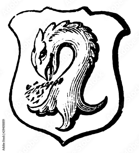 Pelican Vulning creature in the act of wounding itself, vintage engraving.