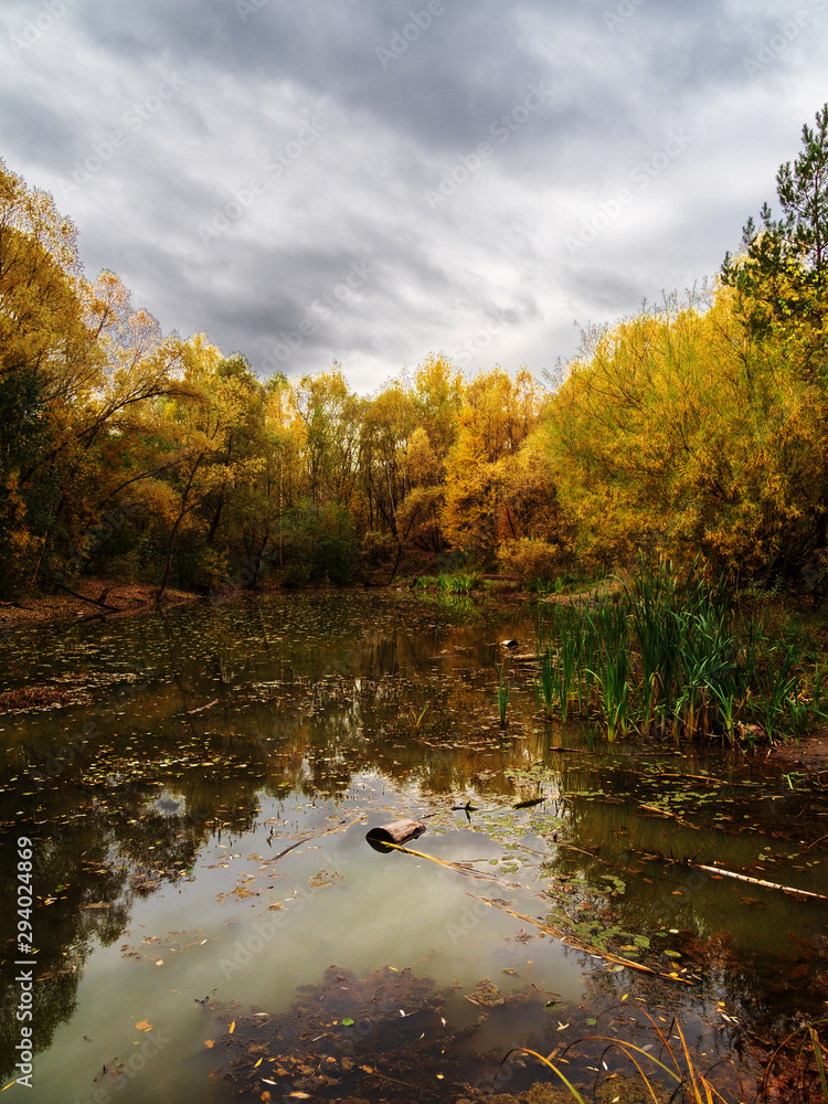 Obraz premium Autumn, Park, overgrown pond.